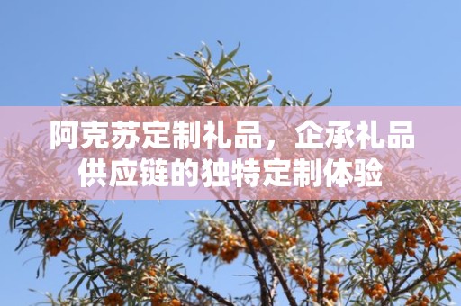 阿克苏定制礼品，企承礼品供应链的独特定制体验