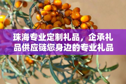 珠海专业定制礼品，企承礼品供应链您身边的专业礼品定制公司